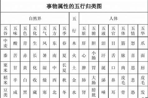 語五行|語字的五行属性